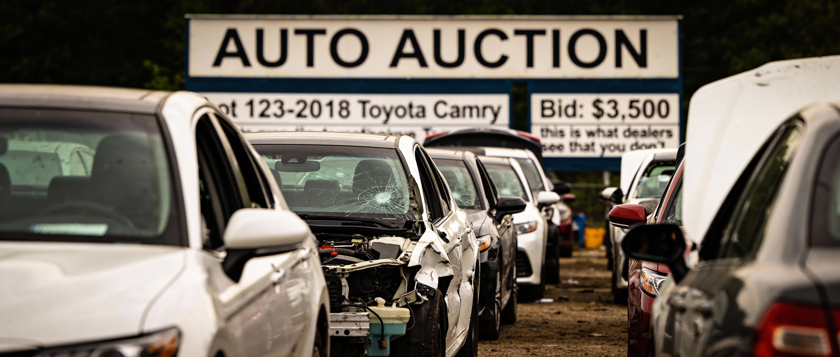 Auto auction vehicle damage photos dealers see