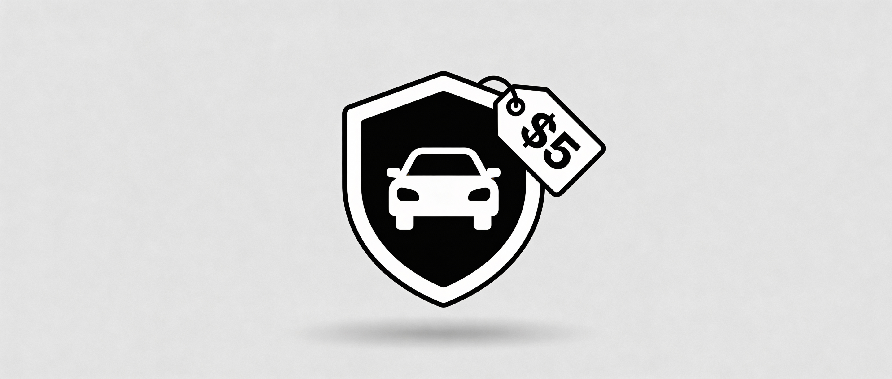 Budget vehicle protection VIN check under 5 dollars